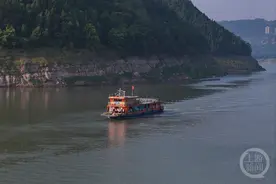 忠县：龙眼丰收 水上“背篓公交”开启“甜蜜之旅”图片