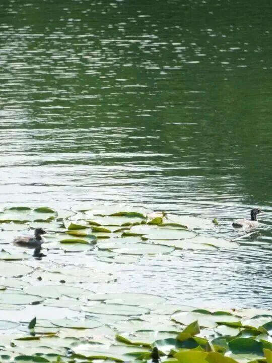 北京冬日限定“奇观”！就到月底！快冲→