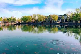 《老街巷里的济南名士》系列作品丨清代济南名士张希杰生平事迹考（上篇）图片