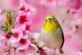 妯娌情暖.孟立华图片