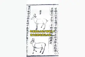 年夜饭怎么吃才有味儿？有文化的吃货这么说……图片