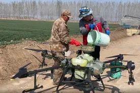 莱阳连胜种业：多元复配无人机飞防，助力小麦拔节期“一喷多防”保丰收图片