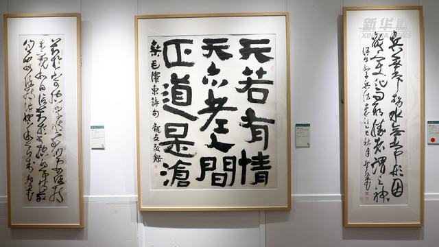 “龙友：仰止·互鉴——在思与书之间”书法展在京启幕
