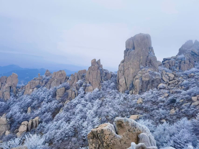 雪后青岛，限定美景上线~