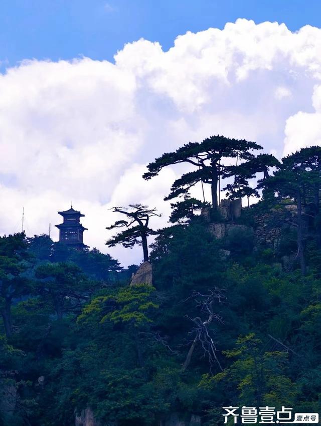 壹点号·秀山东|泰山的夏日藏着惊喜！风掀云海漫眼前，如临仙境