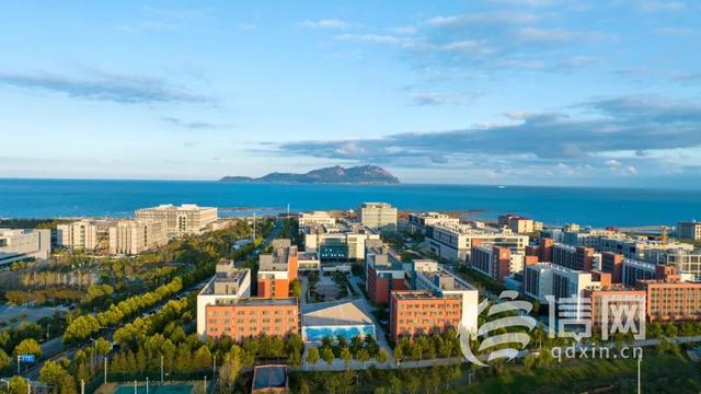 山海校园共绘秋日画卷 青岛古镇口旅居圈秋冬打卡指南发布
