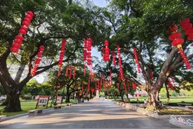 “双节”如何玩？广州多个公园景区献上中秋国庆活动盛宴图片