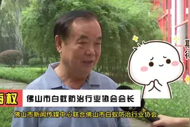 家中白蚁扰人烦？别急！这里有免费白蚁消杀服务！快来报名！图片