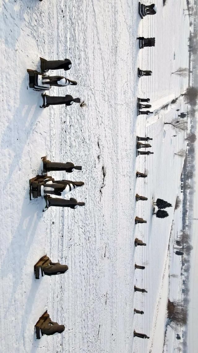 河南下雪冲上热搜！解锁各地冰雕玉砌的浪漫密码……速戳绝美现场→