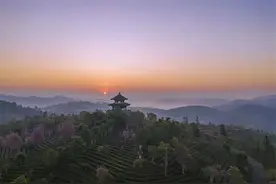 凭登机牌免门票！中华普洱茶博览苑这个活动持续到年底，还有教师节优惠套餐等着你图片