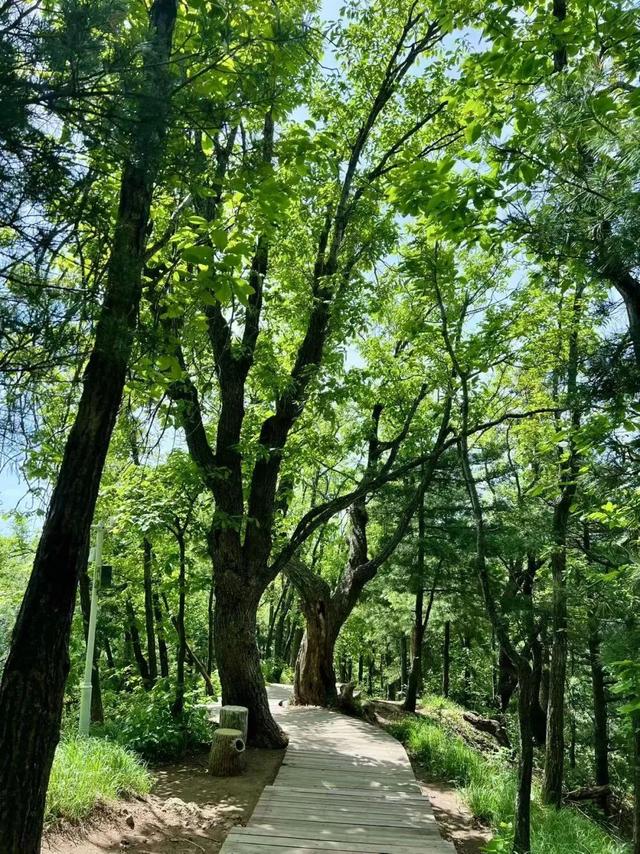 暑假倒计时！抓住夏天的小尾巴，现在出发~