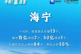 百亿项目纷至沓来，看海宁如何扩大“朋友圈”图片