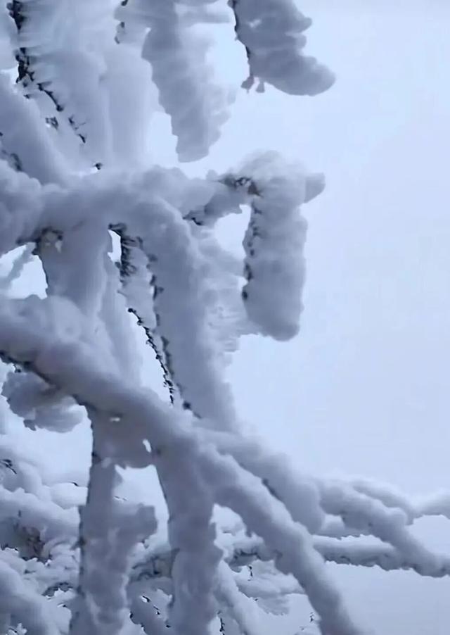 携程、百事通、去哪儿三大品牌核心销售团队走进太白山