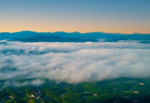 问政宜宾丨教师节宜宾景点免门票吗？有什么活动？最新回复→