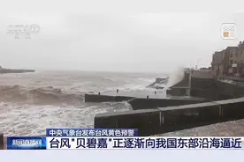 黄色预警！台风“贝碧嘉”正逐渐向我国东部沿海靠近图片