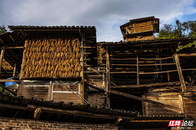 跟着网友游贵州丨黄岗侗寨：在深山邂逅世界级乡村魅力