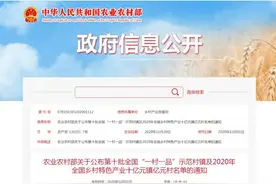 全市唯一！江夏长江村入选第十批全国“一村一品”示范村！图片