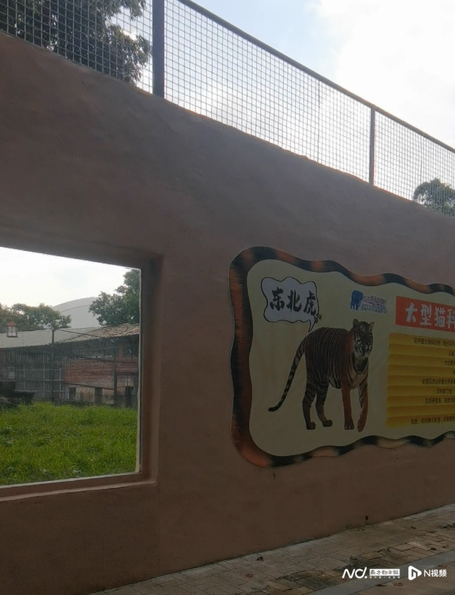 东莞香市动物园：舞台边汇聚“陈年”垃圾，应急措施待加强