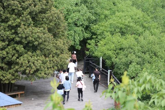 【秋游绥阳】解锁16℃的高山溶洞，震撼与温暖不期而遇！