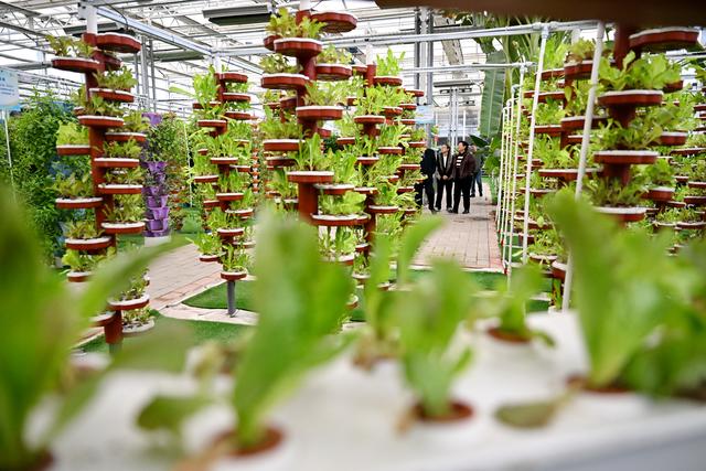 河北沧州：大运河堤顶路铺就美好生活新图景