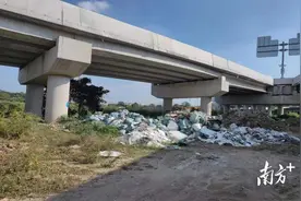 垃圾堆变花木基地，中山这条高速桥下上新“风景线”图片