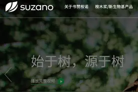 外媒：纸浆巨头书赞桉诺表示中国业务已经开始反弹图片