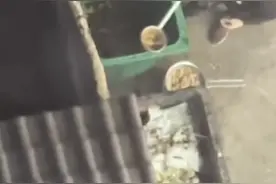深圳一餐厅外有人捞废油，店员称是卖给回收公司，市监局：未发现使用地沟油图片