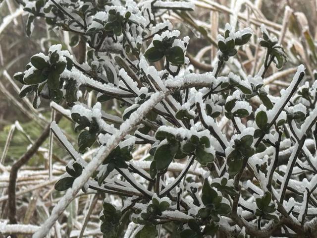 最低-1℃，清远出现冰挂！多地寒冷预警……