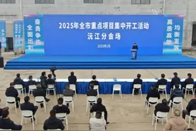 沅江市举行2025年重点项目集中开工活动图片