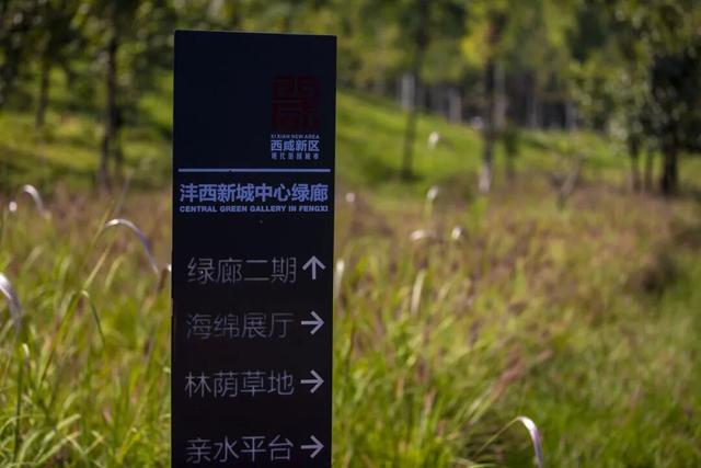 蒲丛野趣，解锁城市松弛感