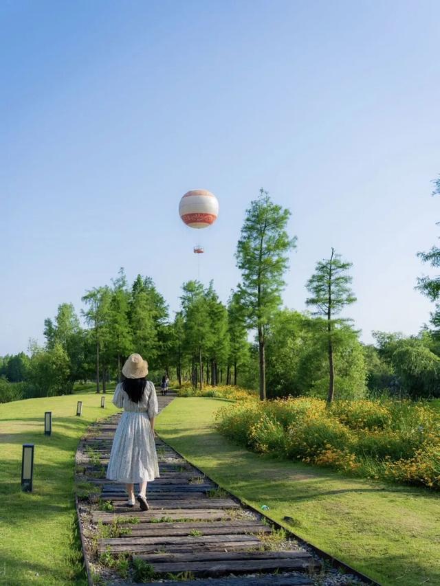 30+东湖夏日绝美壁纸，治愈一整年！