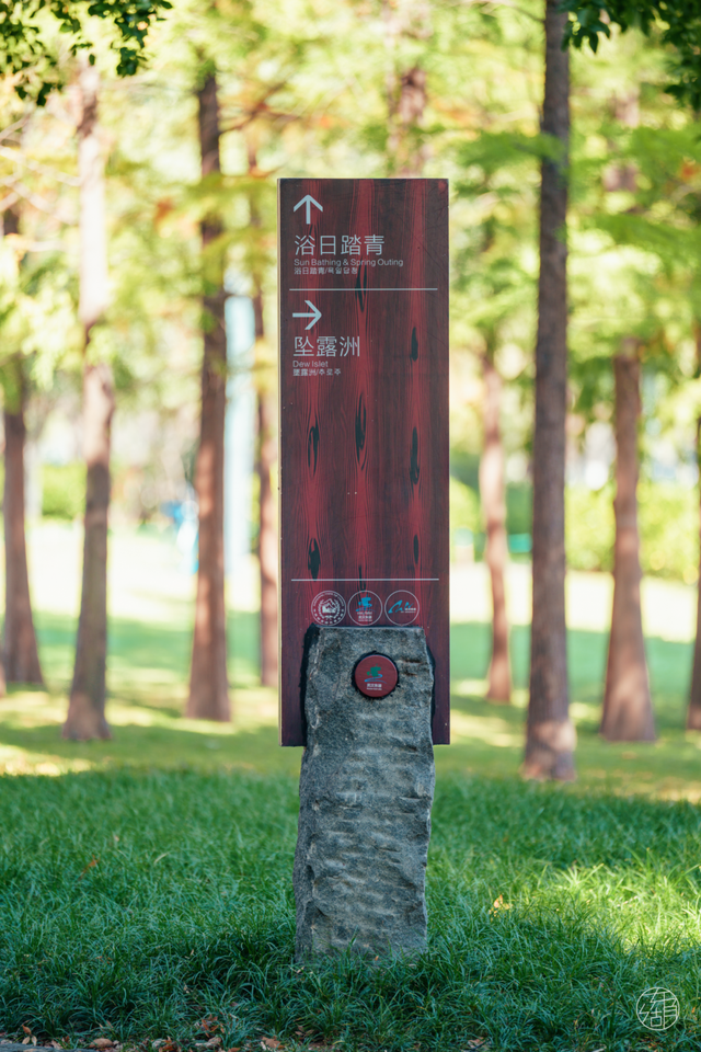 人少景美不绕路，东湖秋日彩蛋上新