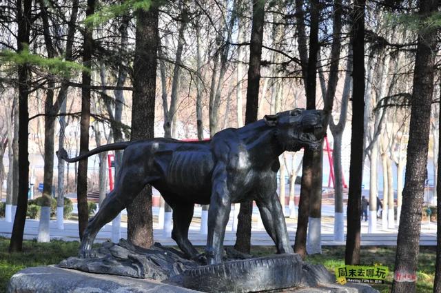 树林里“开”出雕塑盲盒？郑州这个宝藏公园等你解锁