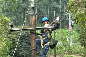 博白供电局：高效推进10千伏石坪线线路综合治理图片