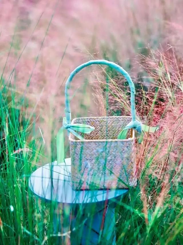 街头大量出现！常州人都已经捡上了