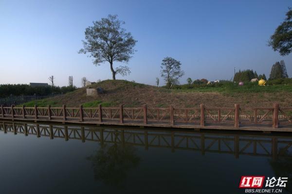 秋游时刻丨在安乡县关保村，步入田园诗画里