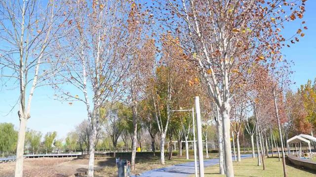 一键收藏！地铁直达的初冬漫步好去处！