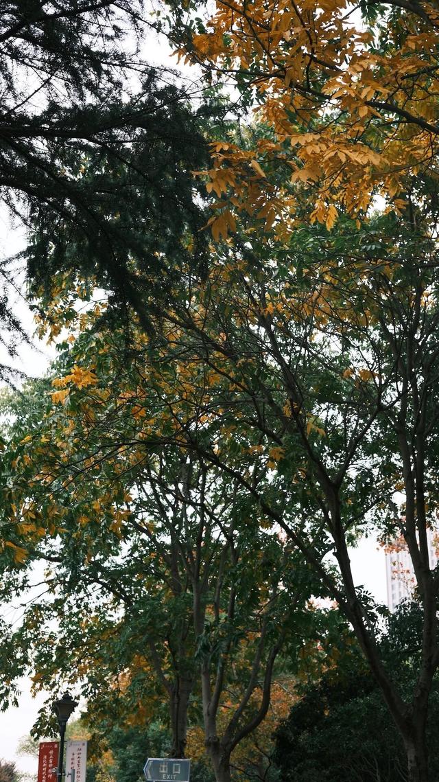 域见上海·域见奉贤｜奉浦秋日限定！这三条宝藏路线，承包所有秋日浪漫，刷爆朋友圈就靠它