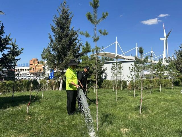 陕西靖边南服务区：企地共建绘就新蓝图