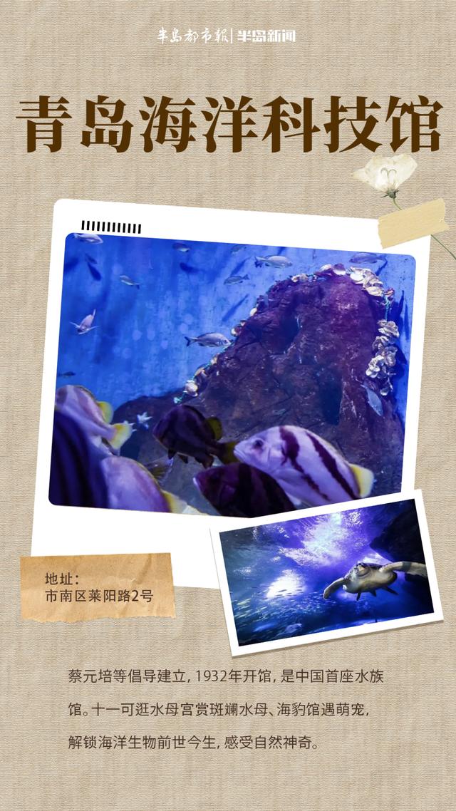 这里是青岛｜避开人潮涨知识！青岛这些博物馆里藏着历史与惊喜
