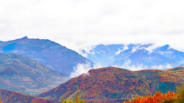 央媒看白山 | 央广网：长白县 一脚踏进秋日的温柔里