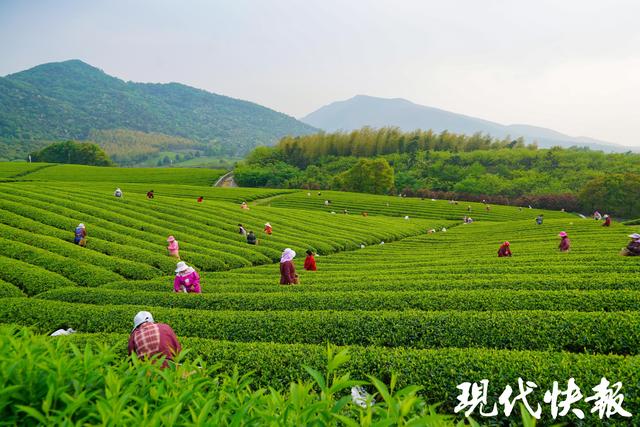 2025全国地方媒体总编辑看无锡｜绿道串景，龙池山交出“低碳文旅”新答卷