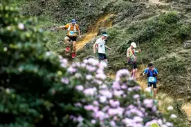 鸡笼顶抢“鲜”赛⑤丨五大亮点，读懂2025杜鹃花海·阳江阳春鸡笼顶越野赛图片