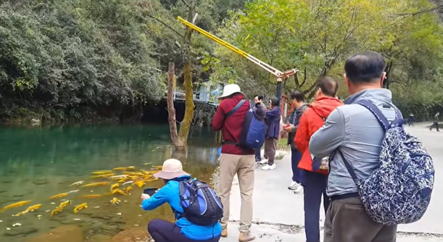 韩国游客包机来大美郧阳 沉浸式感受山水人文魅力