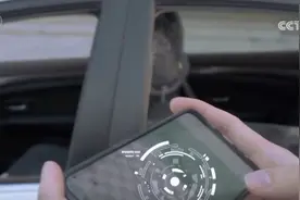 “AI+6G”云网融合市场前景广阔 重塑多行业催生万亿级新市场生态图片