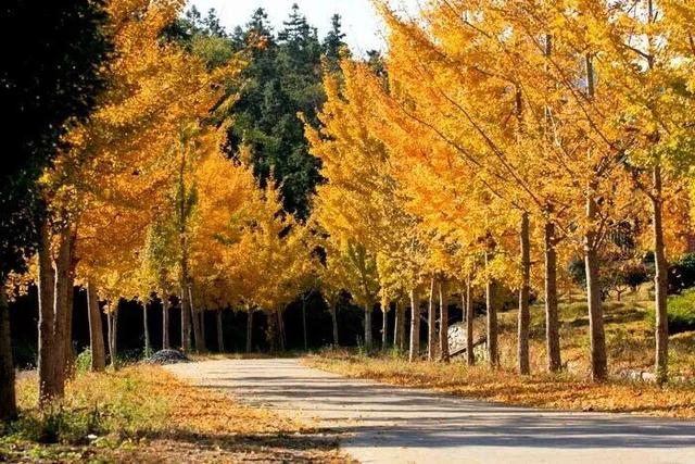 去荆门，撞进秋天怀里！