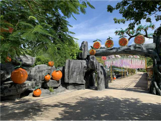 看过来！四会这波“宝藏”研学路线必冲→