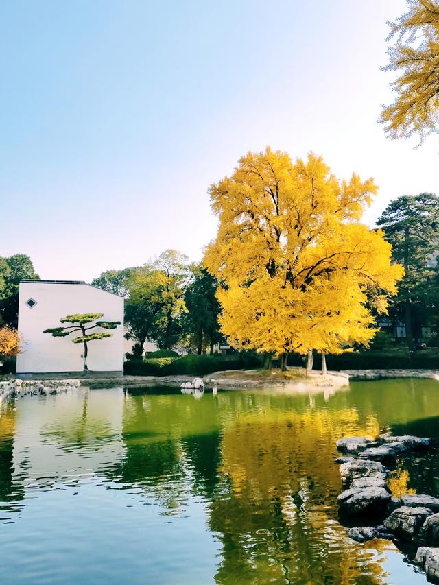 半城古典，半城浪漫！一叶知秋，一框载古今