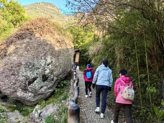 Hi走奉化⑧｜闯进冬日山野，邂逅三折冰瀑限定奇观