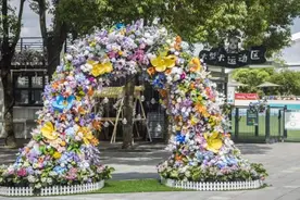 毛孩子撒欢也有鲜花绿植相伴！世博文化公园狗GO乐园迎来客流高峰 | 国庆嗨起来图片